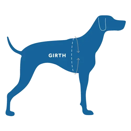 Gilet de sauvetage Tidal pour chiens Boutique du Compagnon