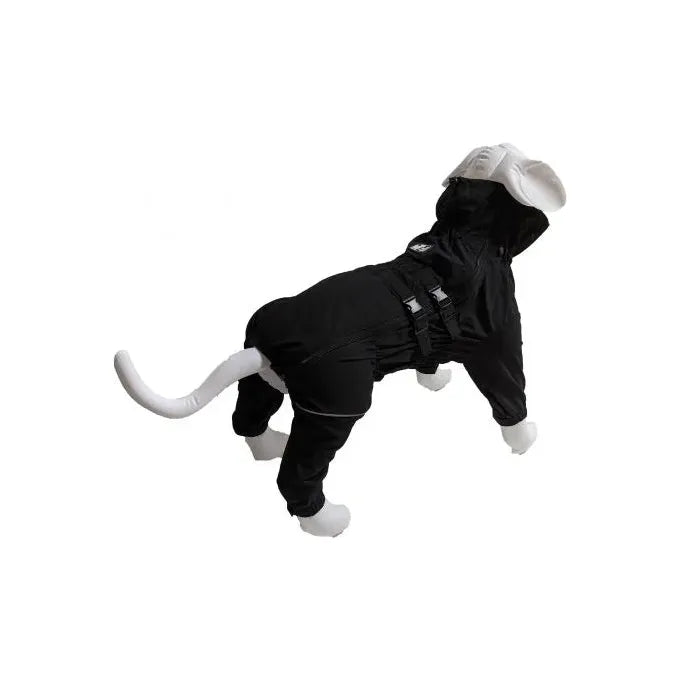 Mondou vetement chien clearance