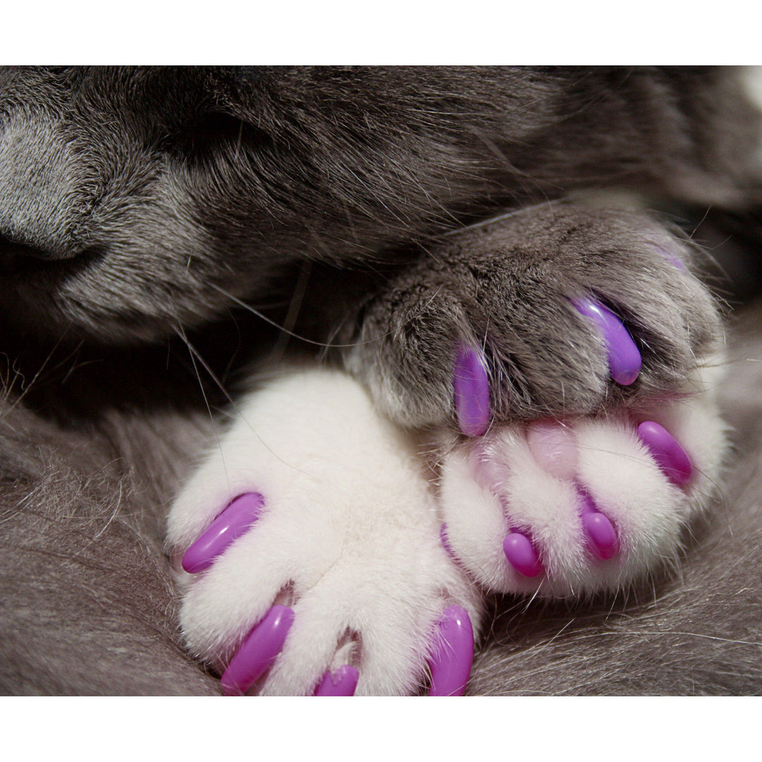 ALAZA Housse Passeport En Cuir Motif Pattes De Chien Et Chat – Protection Élégante Et Légère