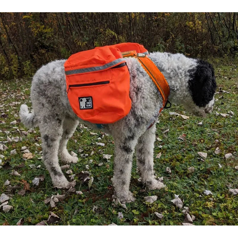 Sac à Dos Expédition Le Chien Blanc – Boutique du Compagnon
