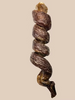 Kyon - Spirale d’œsophage de porc 5-6 po pour chien, gâterie de mastication naturelle riche en protéines qui aide à réduire la plaque et le tartre.