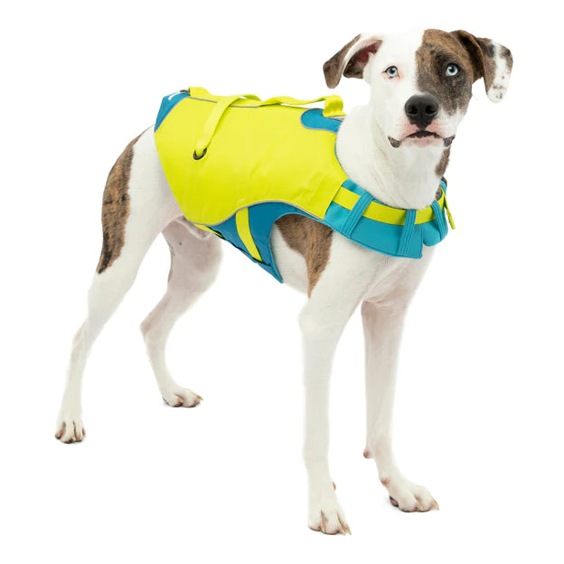 Veste de flottaison chien mondou 2025