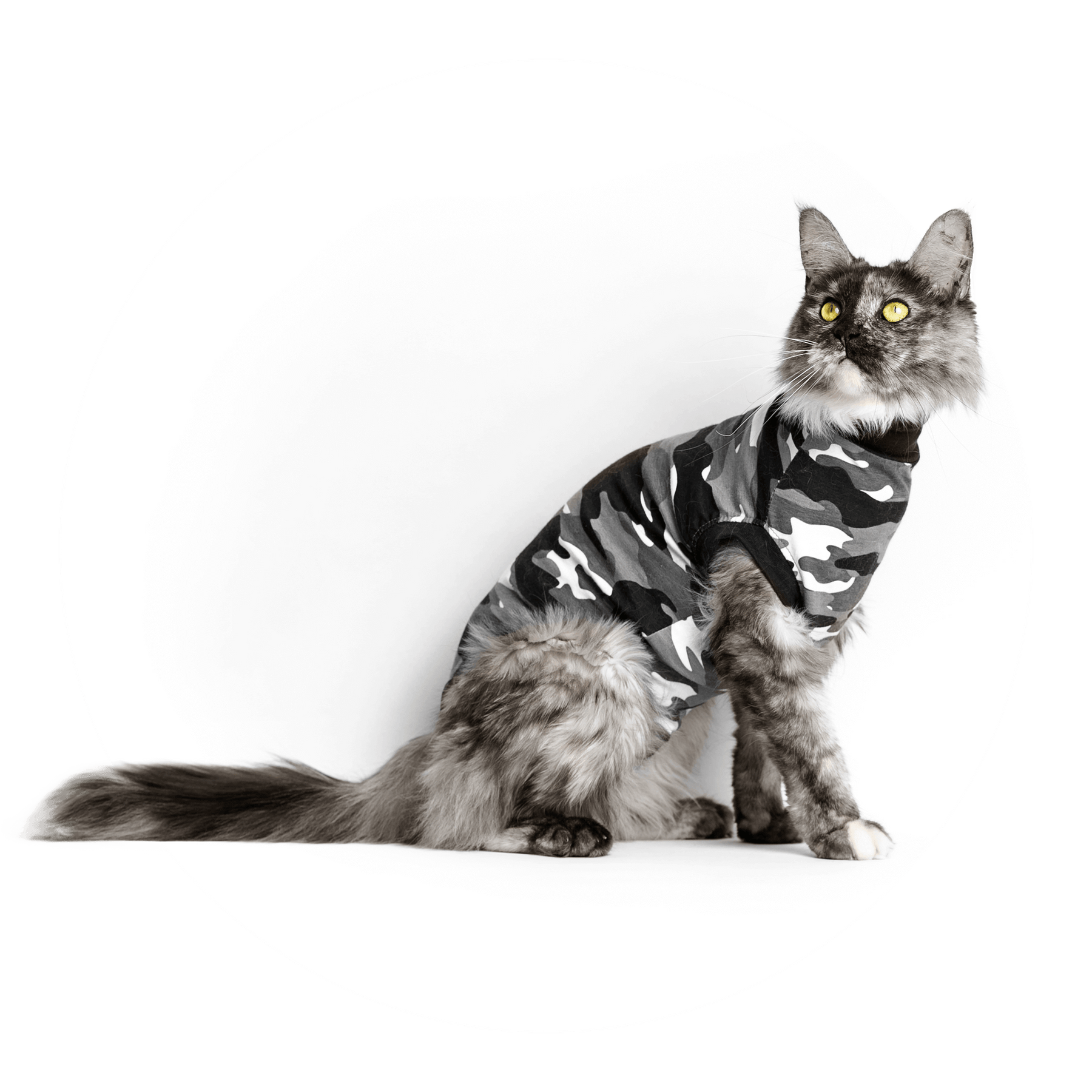 Combinaison de Convalescence pour Chats Suitical Boutique du Compagnon